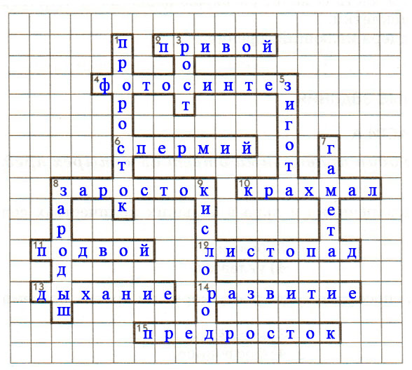 Решение рисунок 1