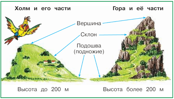 Задание рисунок 1
