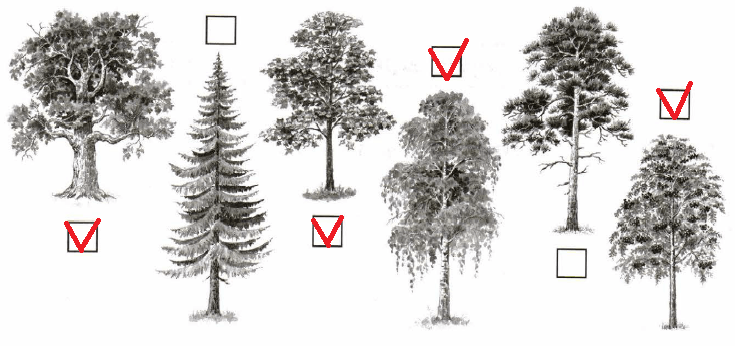 Решение рисунок 1