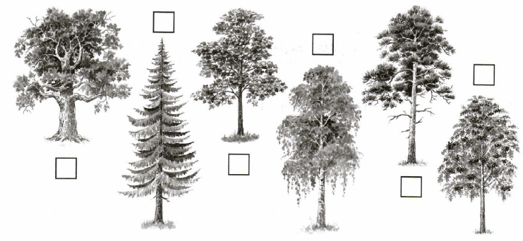 Задание рисунок 1