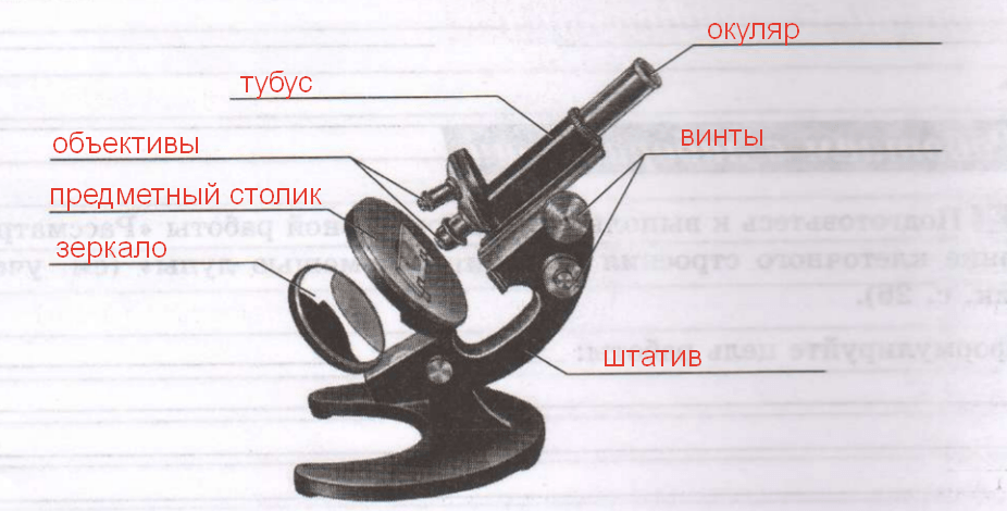 Решение рисунок 1