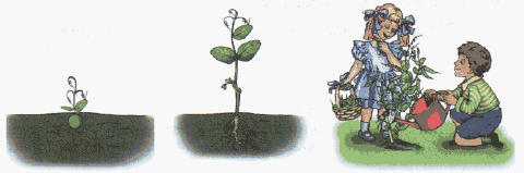 Задание рисунок 1