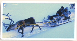 Задание рисунок 1