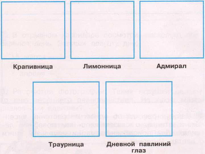 Задание рисунок 1